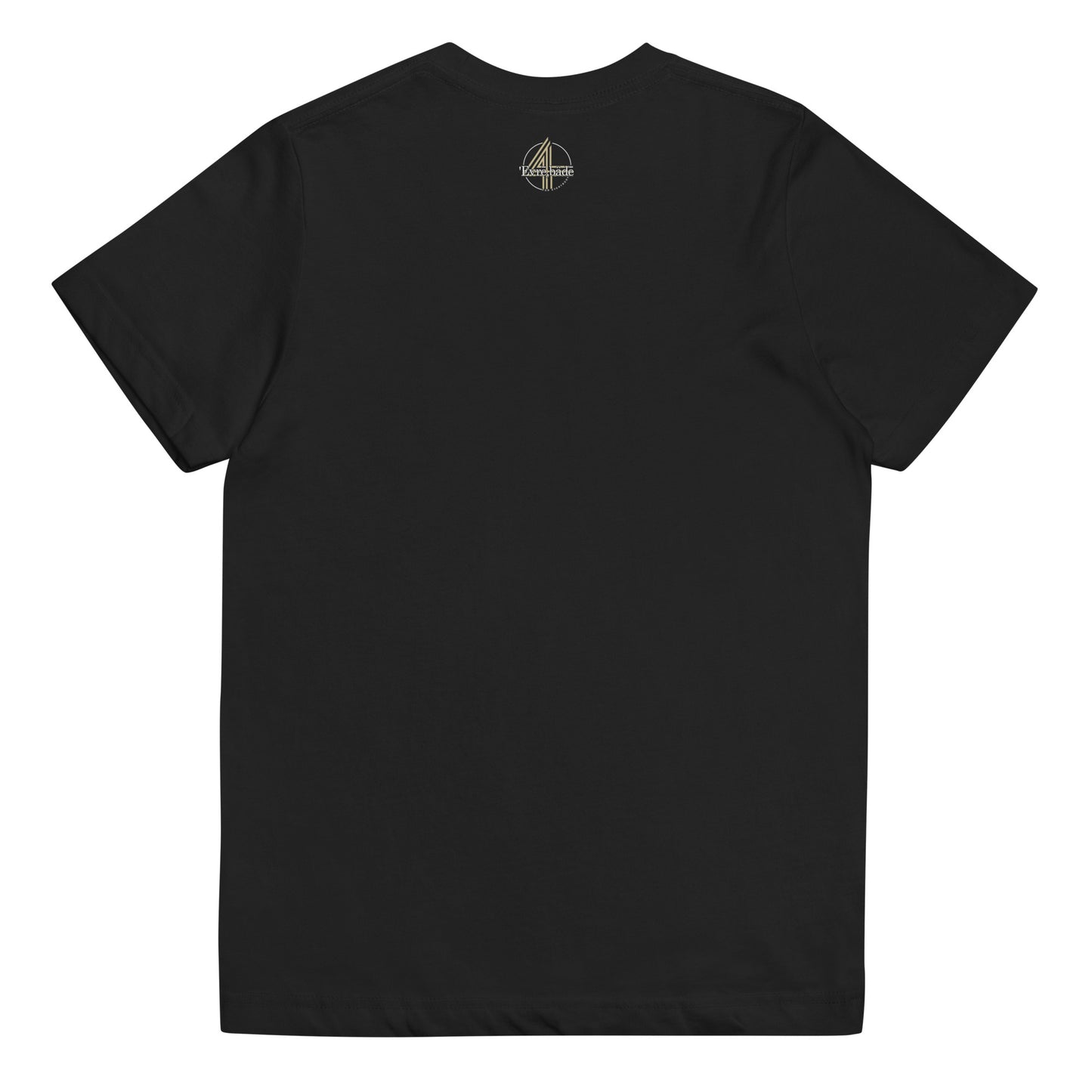 Be S.AF.E. T-shirt [Youth Dark]